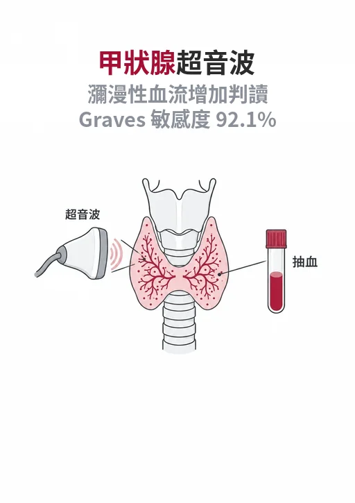 甲狀腺解剖線稿搭配超音波探頭與採血管：功能要靠抽血，超音波看結構