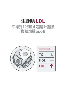 為什麼吃生酮後 LDL 反而變高？平均升 12 到 14 mg/dL，越精瘦的人升越多