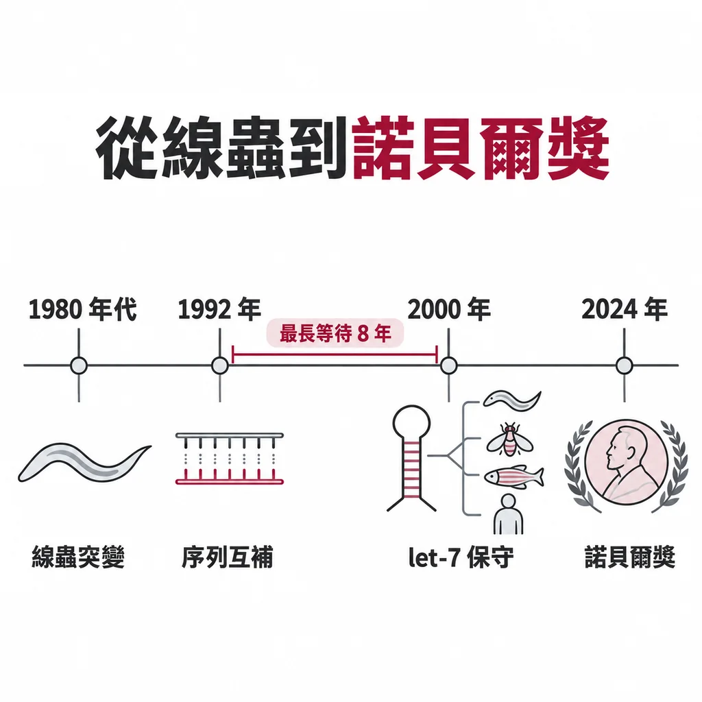 1980 年代線蟲突變、1992 年序列互補、2000 年 let-7、2024 年諾貝爾獎,最長的等待落在中間那八年