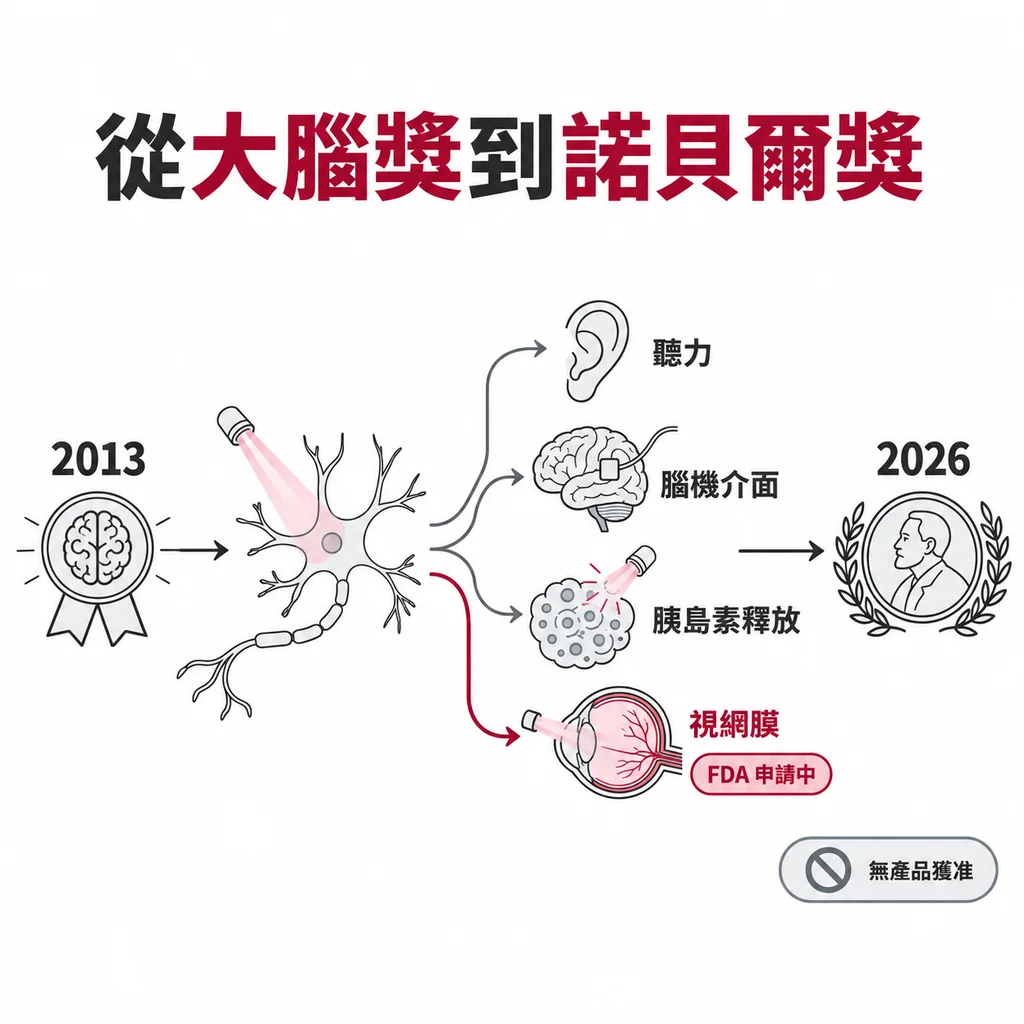 光遺傳學 2013 年拿下大腦獎,2026 年才獲得諾貝爾獎,這段期間逐步走向聽力、腦機介面與視網膜治療試驗