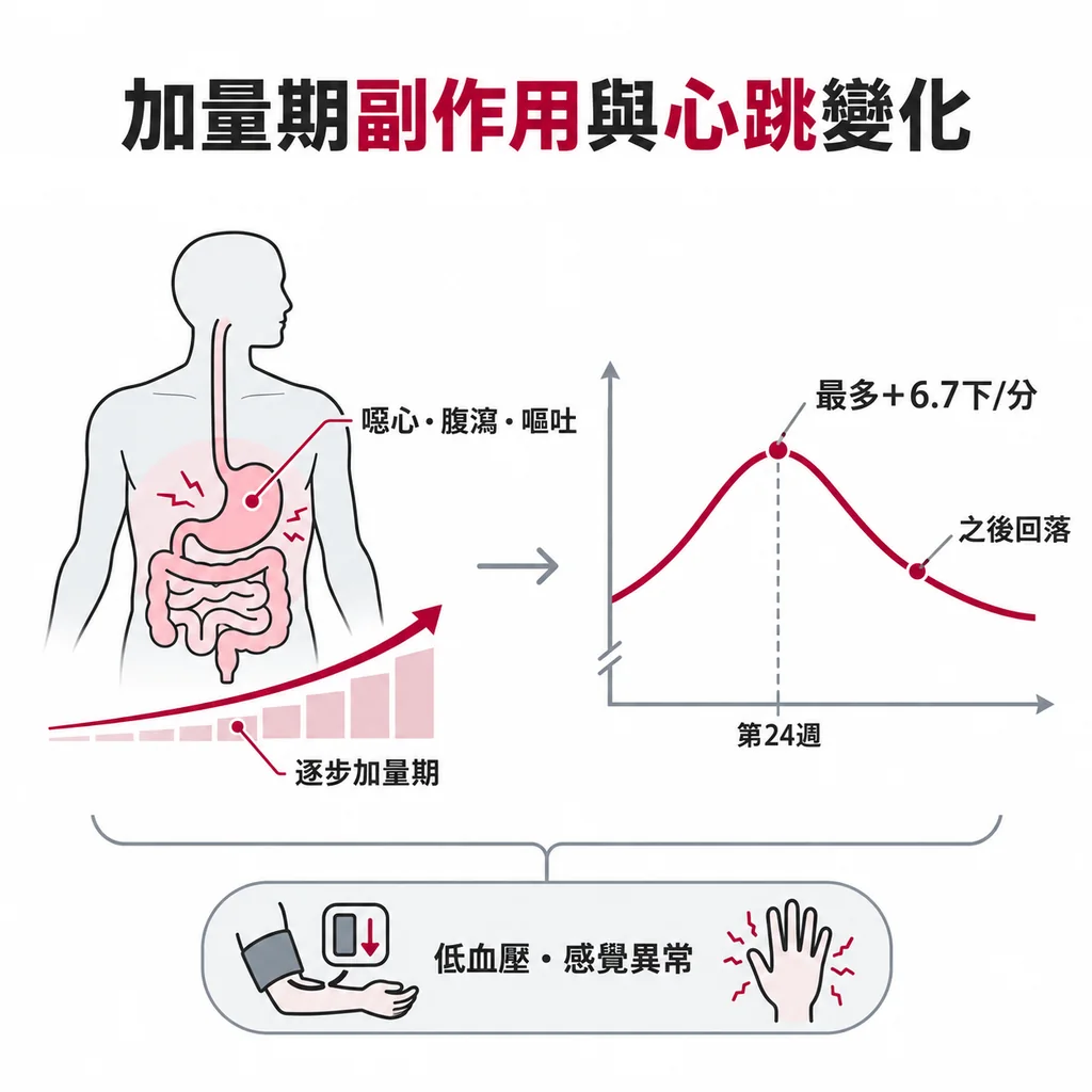最常見的副作用是噁心、腹瀉、嘔吐，多半出現在加量期；心跳每分鐘最多多約 6.7 下，第 24 週左右最高，之後回落